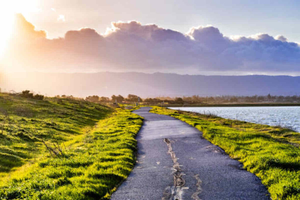 mountain view asphalt contractor