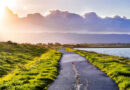mountain view asphalt contractor