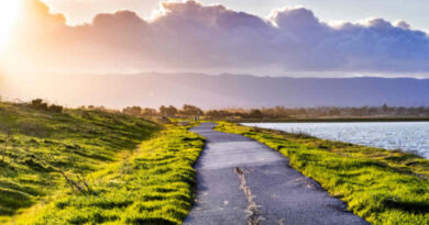 mountain view asphalt contractor