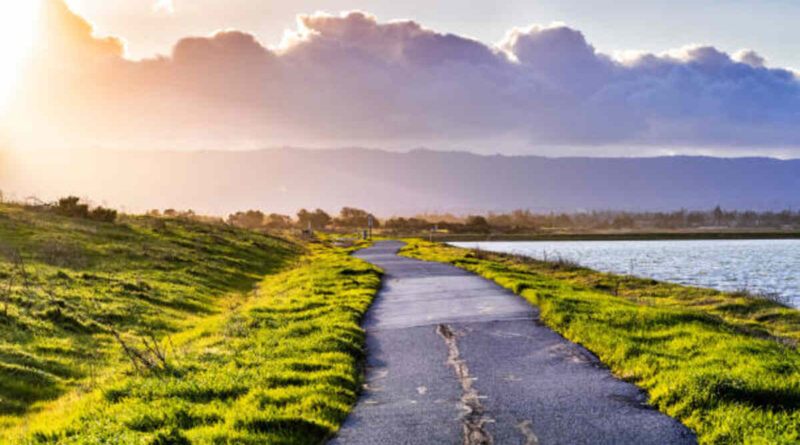mountain view asphalt contractor